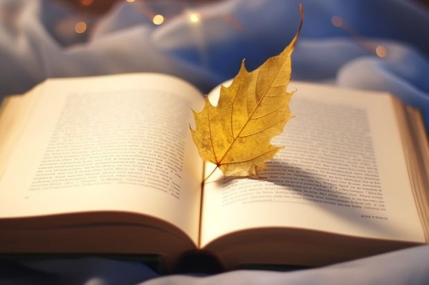 北京师范大学和营口理工学院哪个好 历年录取分数线是多少