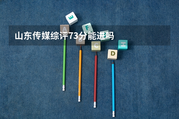 山东传媒综评73分能进吗