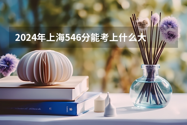 2024年上海546分能考上什么大学？