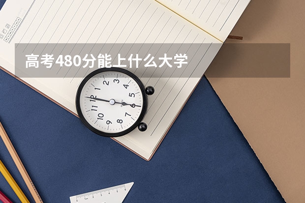 高考480分能上什么大学