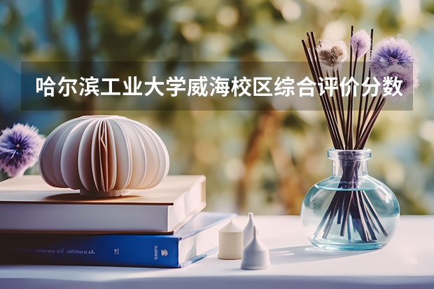 哈尔滨工业大学威海校区综合评价分数线 哈尔滨工业大学软件工程分数线