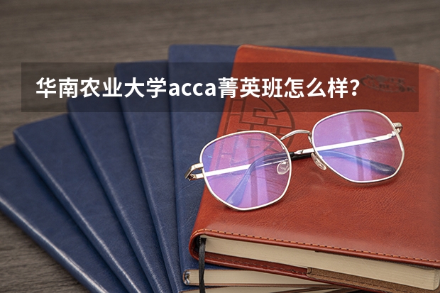 华南农业大学acca菁英班怎么样?就业发展如何?