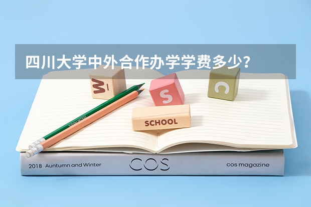 四川大学中外合作办学学费多少?