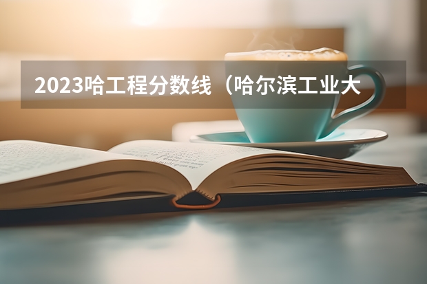 2023哈工程分数线（哈尔滨工业大学威海校区综合评价分数线）
