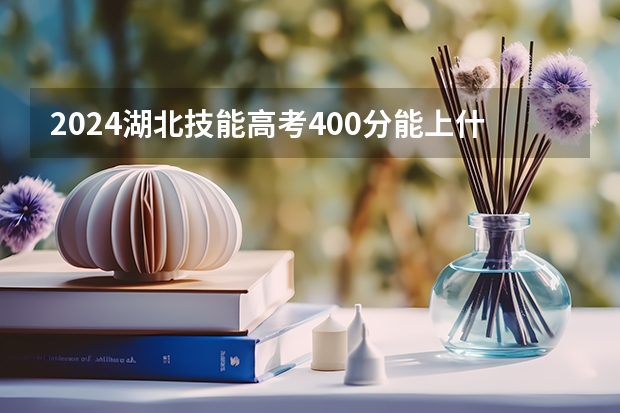 2024湖北技能高考400分能上什么学校?