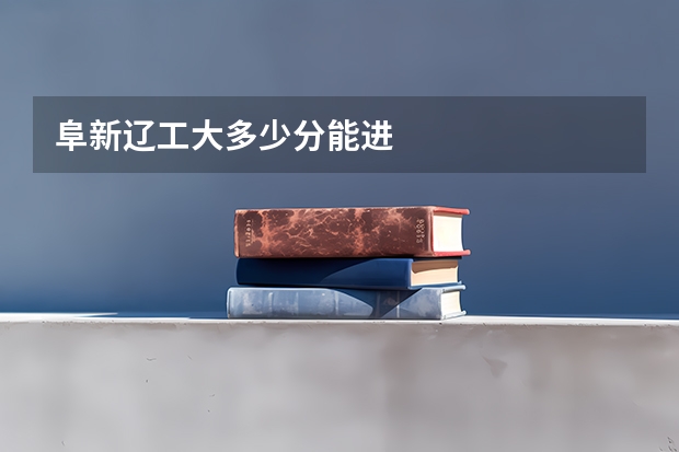 阜新辽工大多少分能进
