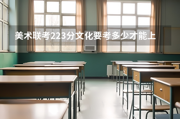 美术联考223分文化要考多少才能上师范大学？