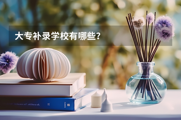 大专补录学校有哪些?