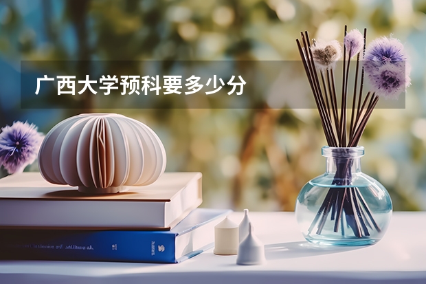 广西大学预科要多少分
