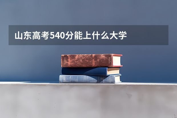 山东高考540分能上什么大学