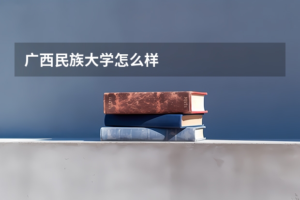 广西民族大学怎么样