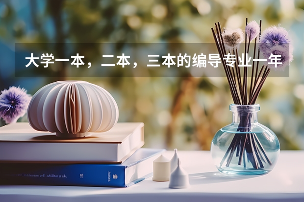 大学一本,二本,三本的编导专业一年的学费分别是多少