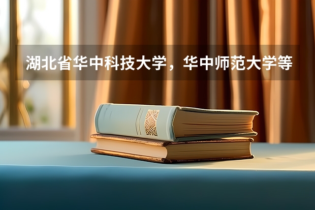 湖北省华中科技大学，华中师范大学等211工程的一本大学美术生录取分数线是多少？