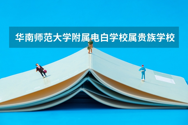 华南师范大学附属电白学校属贵族学校吗
