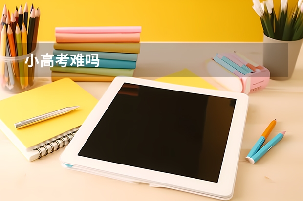 小高考难吗