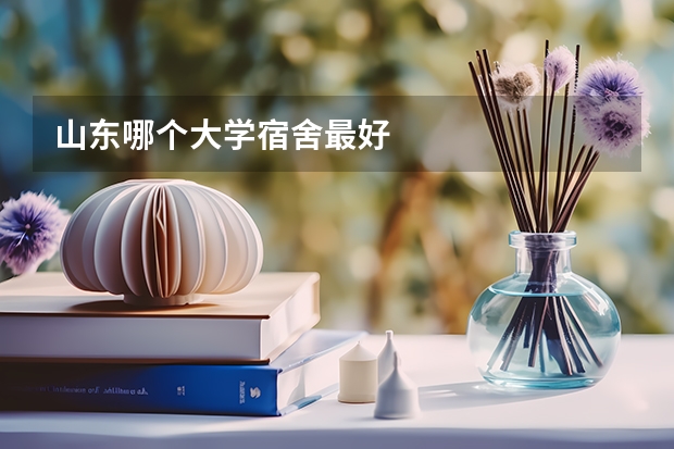 山东哪个大学宿舍最好