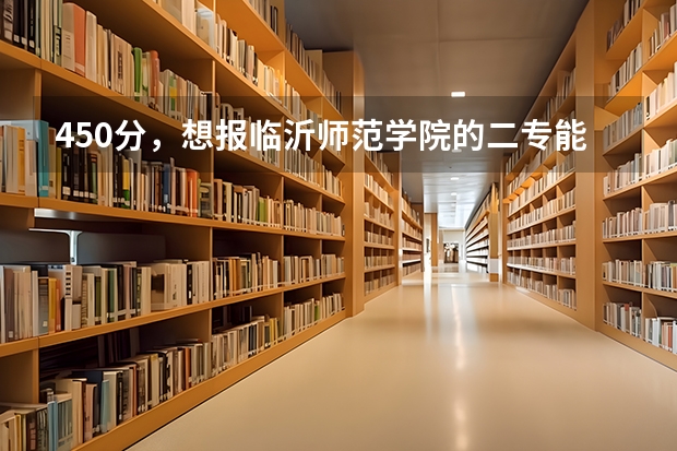 450分，想报临沂师范学院的二专能录取吗？