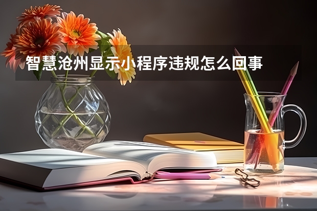 智慧沧州显示小程序违规怎么回事