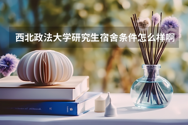 西北政法大学研究生宿舍条件怎么样啊？