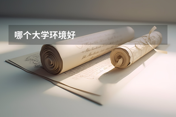 哪个大学环境好