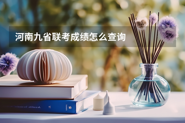 河南九省联考成绩怎么查询