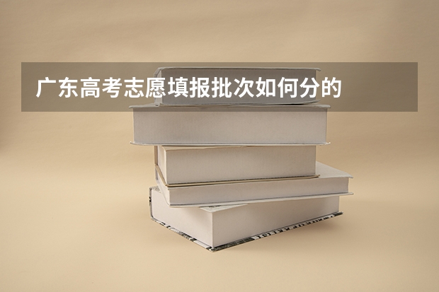 广东高考志愿填报批次如何分的
