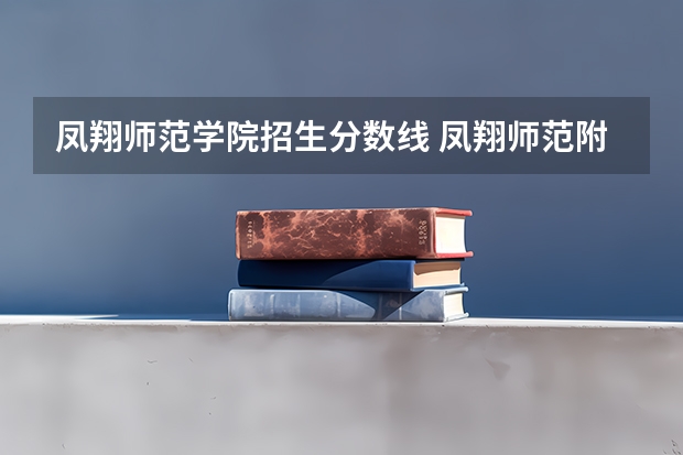 凤翔师范学院招生分数线 凤翔师范附属中学入学条件