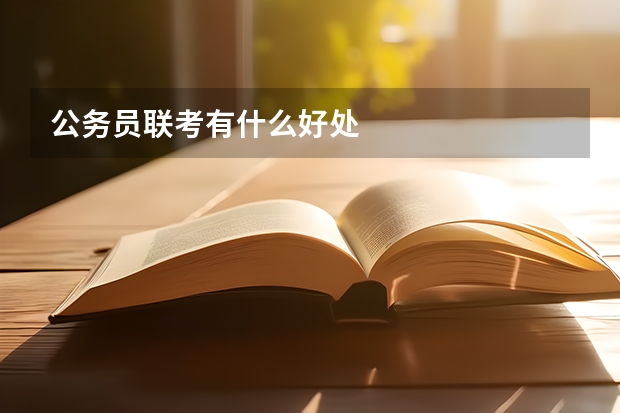 公务员联考有什么好处