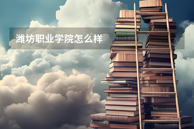 潍坊职业学院怎么样