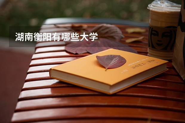 湖南衡阳有哪些大学