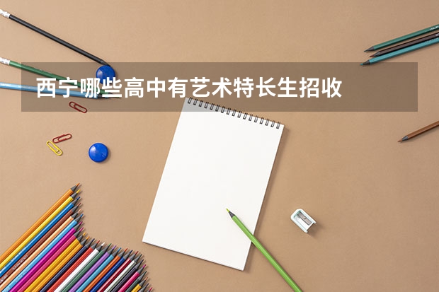 西宁哪些高中有艺术特长生招收