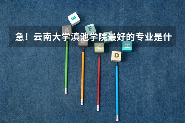 急!云南大学滇池学院最好的专业是什么啊?(文科的)谢谢!