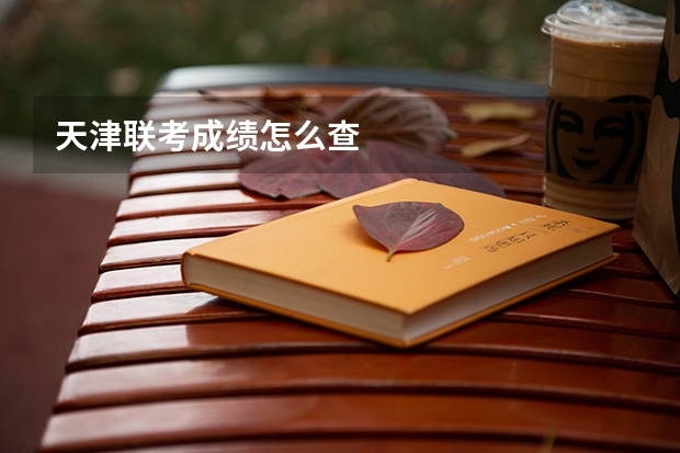 天津联考成绩怎么查
