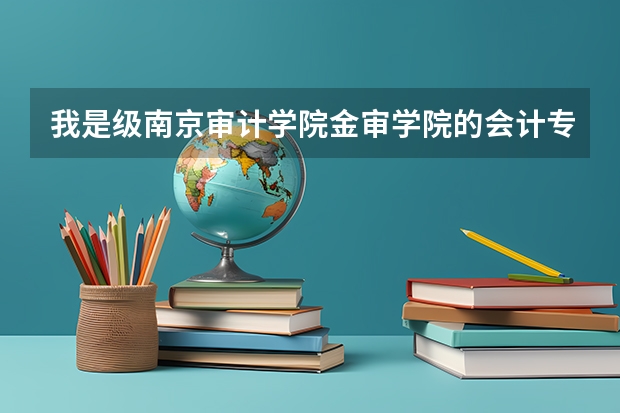 我是级南京审计学院金审学院的会计专业的学生，我想问一下宿舍怎么样，学校是不是有两个校区啊