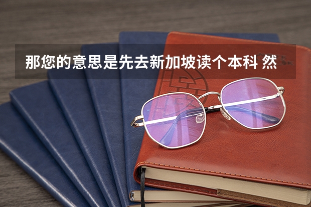 那您的意思是先去新加坡读个本科 然后用新加坡的本去申请英国或是其他国家的硕士那样会容易一些是吗?