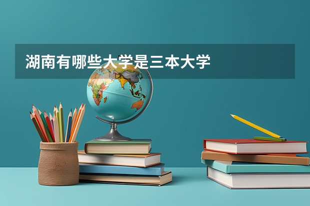 湖南有哪些大学是三本大学