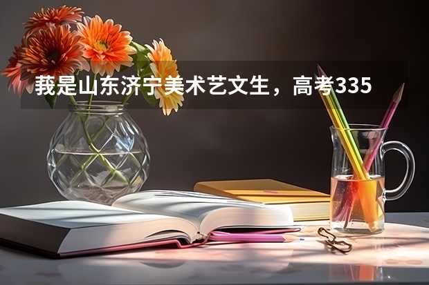 莪是山东济宁美术艺文生,高考335分,美术联考228、33分,莪可以报考什么样的学校?