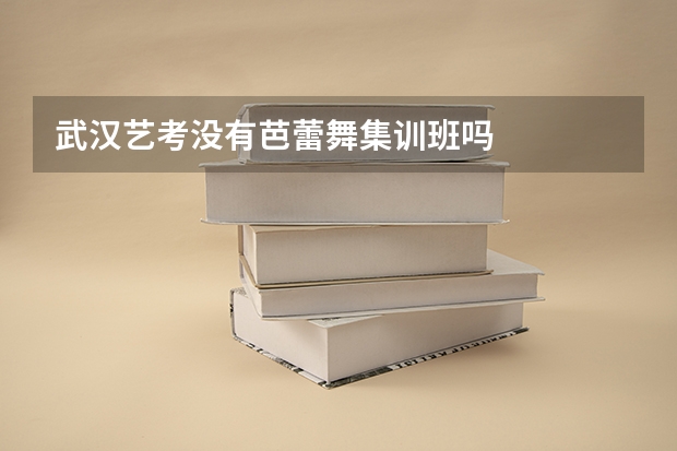 武汉艺考没有芭蕾舞集训班吗