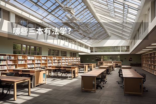 哪些三本有法学?