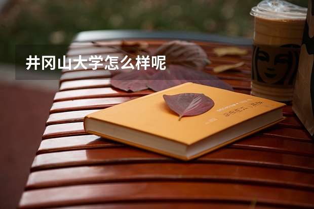井冈山大学怎么样呢