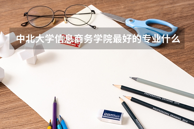 中北大学信息商务学院最好的专业什么呢