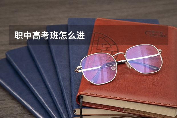 职中高考班怎么进