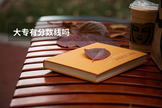 大专有分数线吗