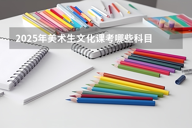 2025年美术生文化课考哪些科目