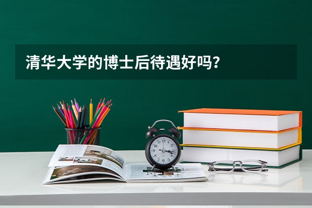清华大学的博士后待遇好吗？