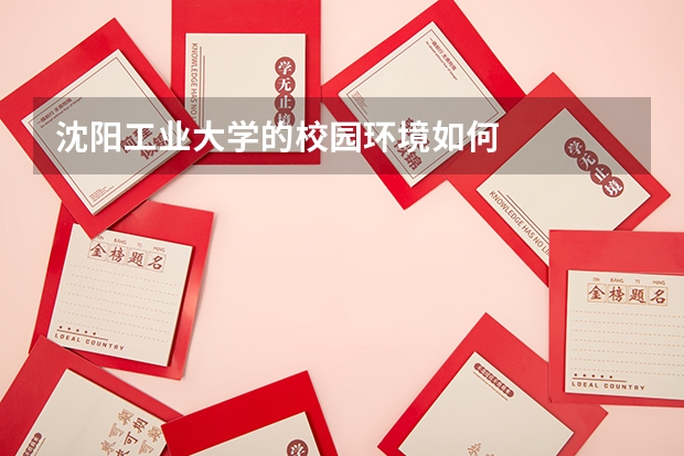 沈阳工业大学的校园环境如何