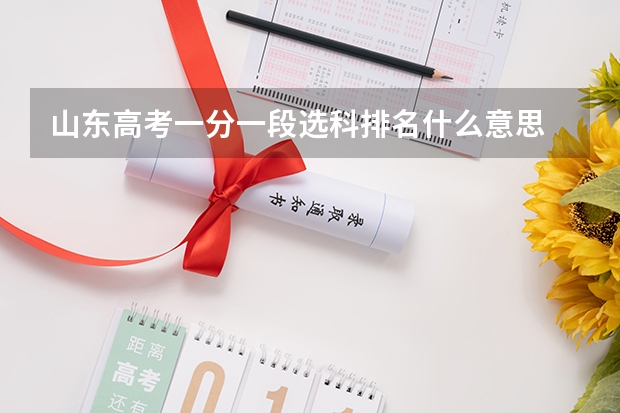山东高考一分一段选科排名什么意思