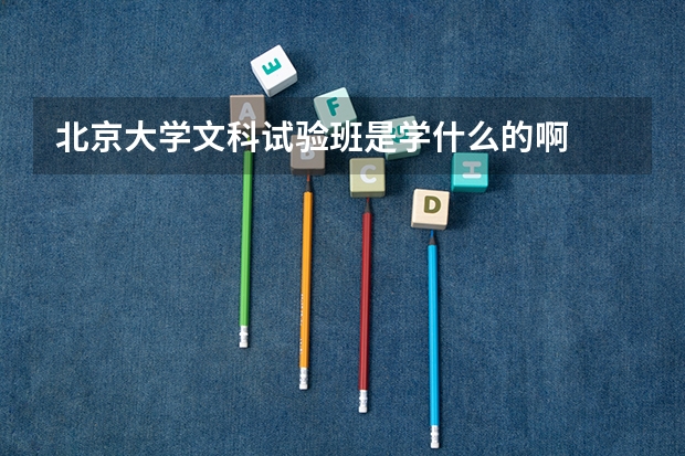 北京大学文科试验班是学什么的啊