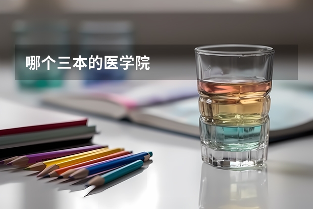 哪个三本的医学院