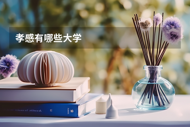 孝感有哪些大学